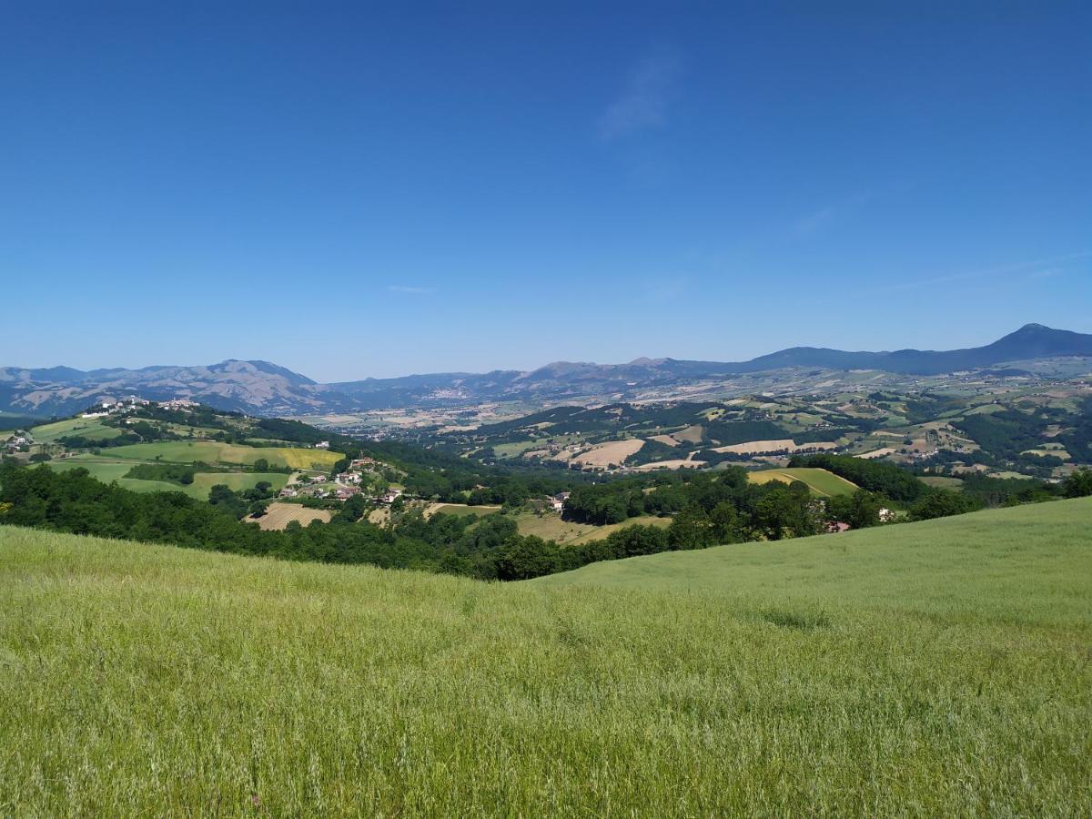 All Inbasilicata Bed & Breakfast Baragiano Eksteriør billede